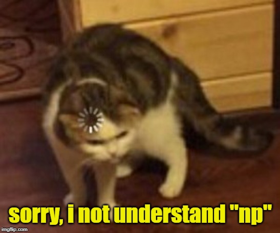 Cat loading | sorry, i not understand "np" | image tagged in cat loading | made w/ Imgflip meme maker