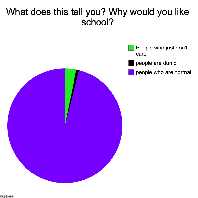 What does this tell you? Why would you like school? | people who are normal, people are dumb, People who just don't care | image tagged in charts,pie charts | made w/ Imgflip chart maker