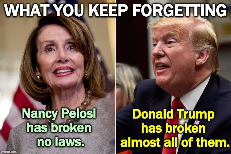 One tiny fact | WHAT YOU KEEP FORGETTING; Donald Trump 
has broken 
almost all of them. Nancy Pelosi 
has broken 
no laws. | image tagged in nancy pelosi,donald trump,law,rule of law,constitution,criminal | made w/ Imgflip meme maker
