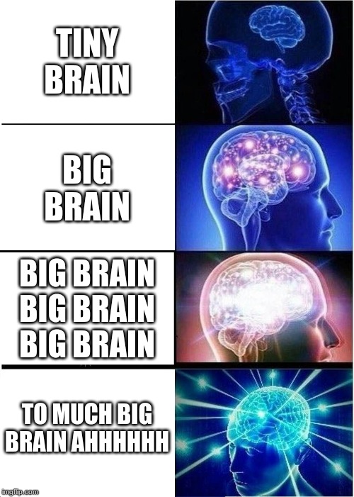Expanding Brain Meme | TINY BRAIN; BIG BRAIN; BIG BRAIN BIG BRAIN BIG BRAIN; TO MUCH BIG BRAIN AHHHHHH | image tagged in memes,expanding brain | made w/ Imgflip meme maker