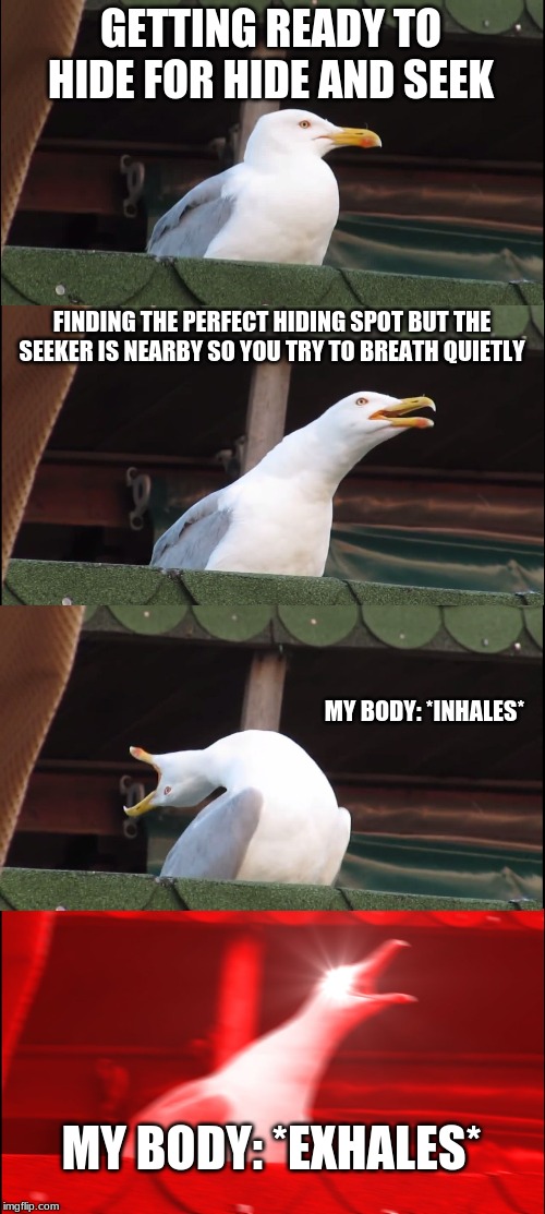 Inhaling Seagull | GETTING READY TO HIDE FOR HIDE AND SEEK; FINDING THE PERFECT HIDING SPOT BUT THE SEEKER IS NEARBY SO YOU TRY TO BREATH QUIETLY; MY BODY: *INHALES*; MY BODY: *EXHALES* | image tagged in memes,inhaling seagull | made w/ Imgflip meme maker