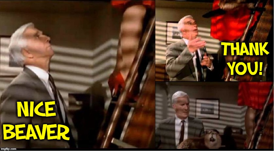 Homage to Leslie Nielson |  THANK YOU! NICE BEAVER | image tagged in vince vance,leslie nielson,naked gun,priscilla presley,nice beaver,thank you | made w/ Imgflip meme maker