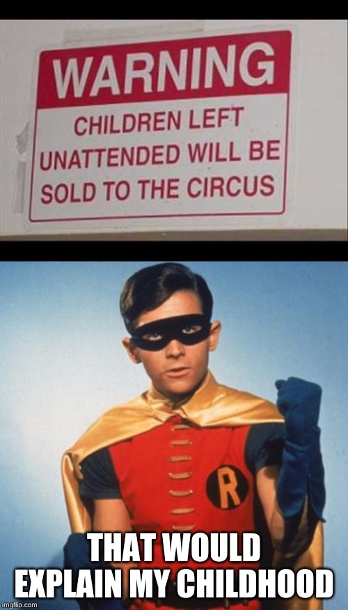 THAT WOULD EXPLAIN MY CHILDHOOD | image tagged in robin | made w/ Imgflip meme maker
