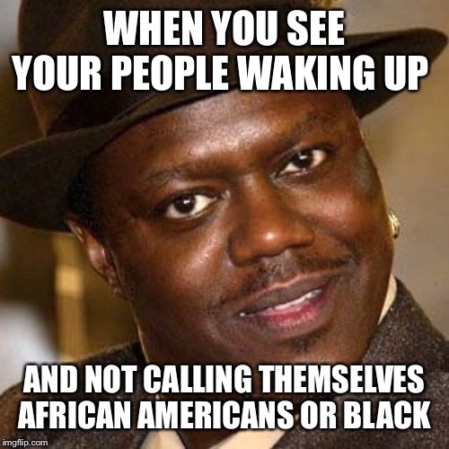 WHEN YOU SEE YOUR PEOPLE WAKING UP; AND NOT CALLING THEMSELVES AFRICAN AMERICANS OR BLACK | made w/ Imgflip meme maker