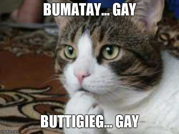 Ponder cat | BUMATAY... GAY BUTTIGIEG... GAY | image tagged in ponder cat | made w/ Imgflip meme maker