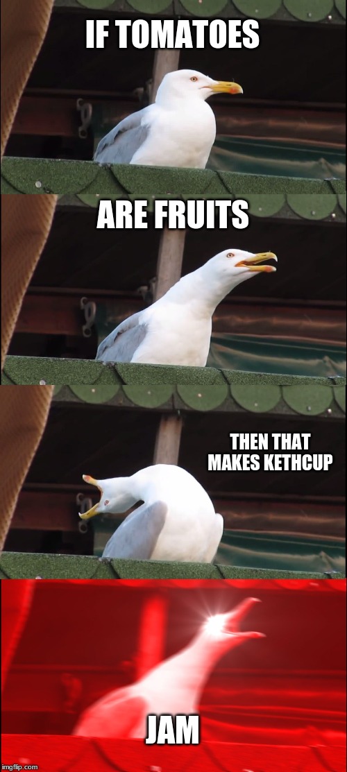 Inhaling Seagull | IF TOMATOES; ARE FRUITS; THEN THAT MAKES KETHCUP; JAM | image tagged in memes,inhaling seagull | made w/ Imgflip meme maker