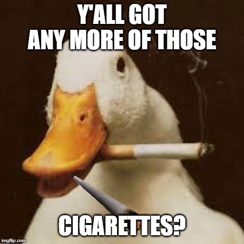 yall | Y'ALL GOT ANY MORE OF THOSE; CIGARETTES? | image tagged in funny,memes,cigarettes,ducks,duck,yall got any more of | made w/ Imgflip meme maker