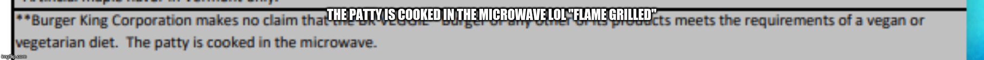 Tf Burger King | THE PATTY IS COOKED IN THE MICROWAVE LOL "FLAME GRILLED" | image tagged in frozen,microwave | made w/ Imgflip meme maker