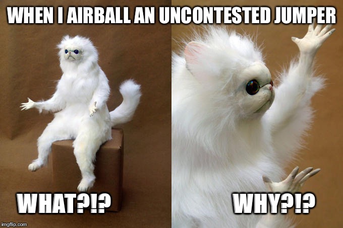 Persian Cat Room Guardian | WHEN I AIRBALL AN UNCONTESTED JUMPER; WHAT?!?                       WHY?!? | image tagged in memes,persian cat room guardian | made w/ Imgflip meme maker