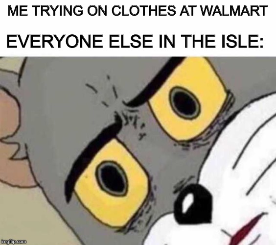 Tom Cat Unsettled Close up | EVERYONE ELSE IN THE ISLE:; ME TRYING ON CLOTHES AT WALMART | image tagged in tom cat unsettled close up | made w/ Imgflip meme maker