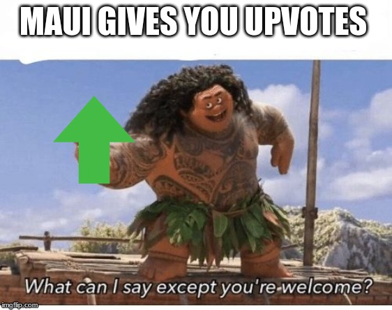 What can I say except you're welcome? | MAUI GIVES YOU UPVOTES | image tagged in what can i say except you're welcome | made w/ Imgflip meme maker
