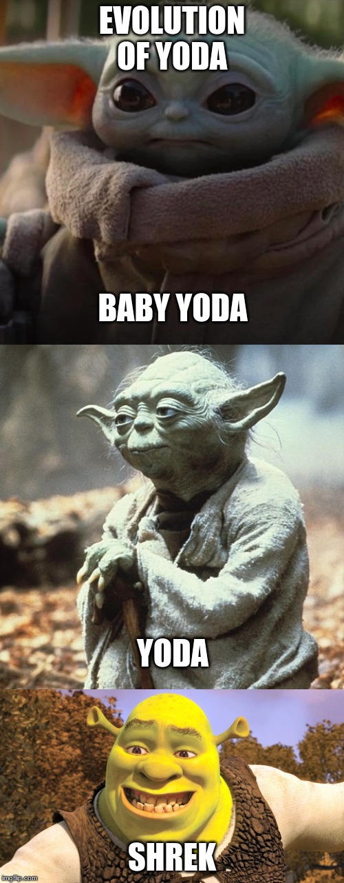 Evolution of the Yoda Species | EVOLUTION OF YODA; BABY YODA; YODA; SHREK | image tagged in baby yoda,yoda,shrek | made w/ Imgflip meme maker