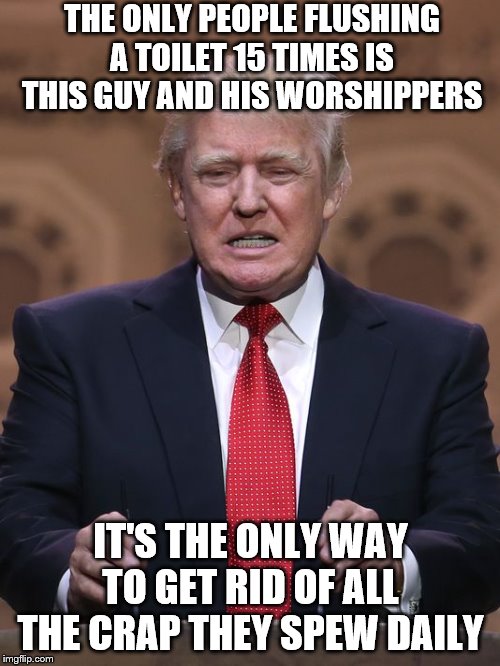 Donald Trump | THE ONLY PEOPLE FLUSHING A TOILET 15 TIMES IS THIS GUY AND HIS WORSHIPPERS; IT'S THE ONLY WAY TO GET RID OF ALL THE CRAP THEY SPEW DAILY | image tagged in donald trump | made w/ Imgflip meme maker