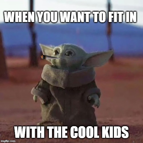 Baby Yoda | WHEN YOU WANT TO FIT IN; WITH THE COOL KIDS | image tagged in baby yoda | made w/ Imgflip meme maker