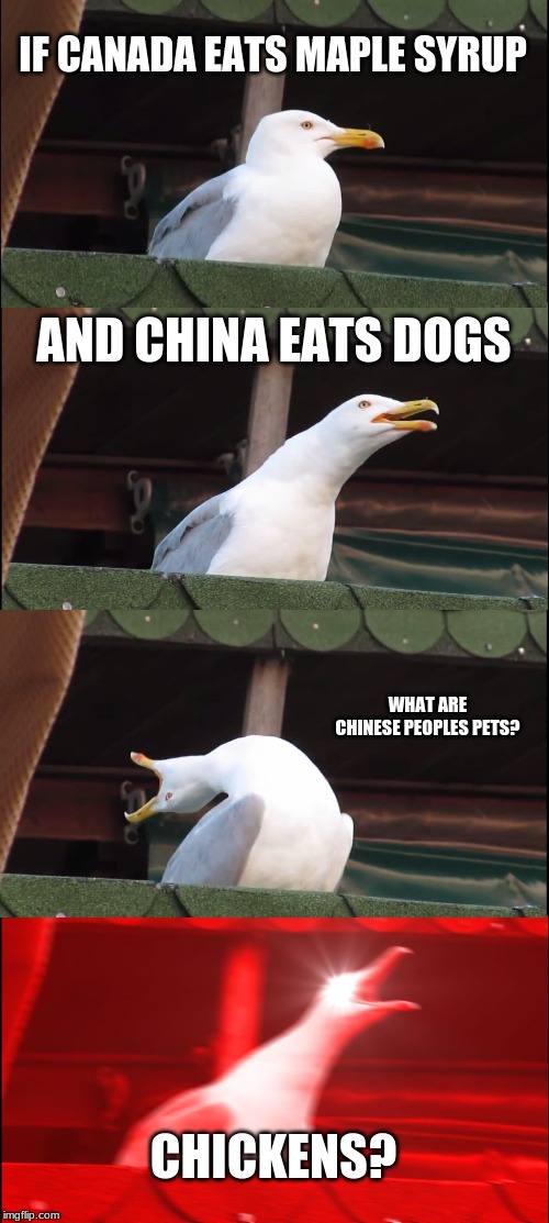 Inhaling Seagull | IF CANADA EATS MAPLE SYRUP; AND CHINA EATS DOGS; WHAT ARE CHINESE PEOPLES PETS? CHICKENS? | image tagged in memes,inhaling seagull | made w/ Imgflip meme maker