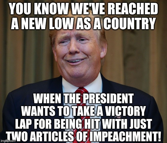 There were so many to consider! | YOU KNOW WE'VE REACHED A NEW LOW AS A COUNTRY; WHEN THE PRESIDENT WANTS TO TAKE A VICTORY LAP FOR BEING HIT WITH JUST TWO ARTICLES OF IMPEACHMENT! | image tagged in trump goofy face,memes,politics | made w/ Imgflip meme maker