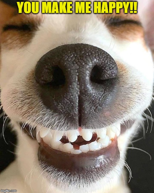 You make me happy!! | YOU MAKE ME HAPPY!! | image tagged in memes,happy dog,smile,i love you,hug me,dog gone happy | made w/ Imgflip meme maker