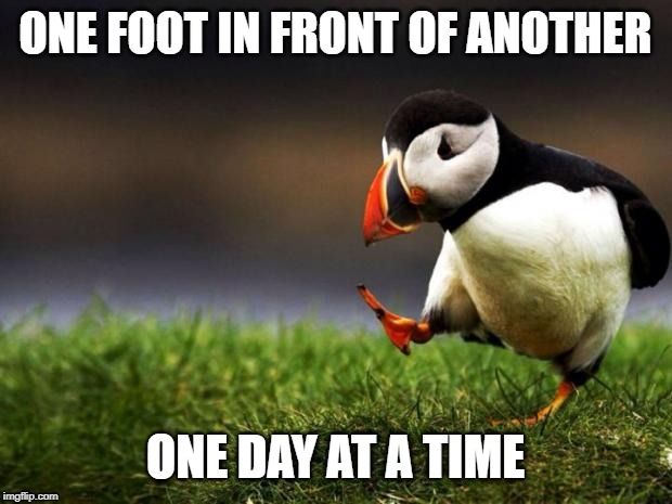 Unpopular Opinion Puffin Meme | ONE FOOT IN FRONT OF ANOTHER; ONE DAY AT A TIME | image tagged in memes,unpopular opinion puffin | made w/ Imgflip meme maker