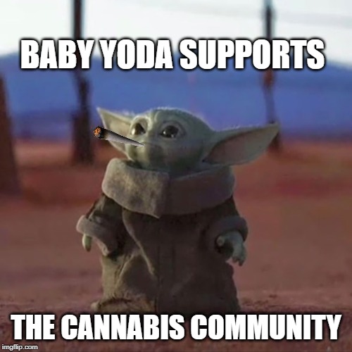 Baby Yoda | BABY YODA SUPPORTS; THE CANNABIS COMMUNITY | image tagged in baby yoda | made w/ Imgflip meme maker