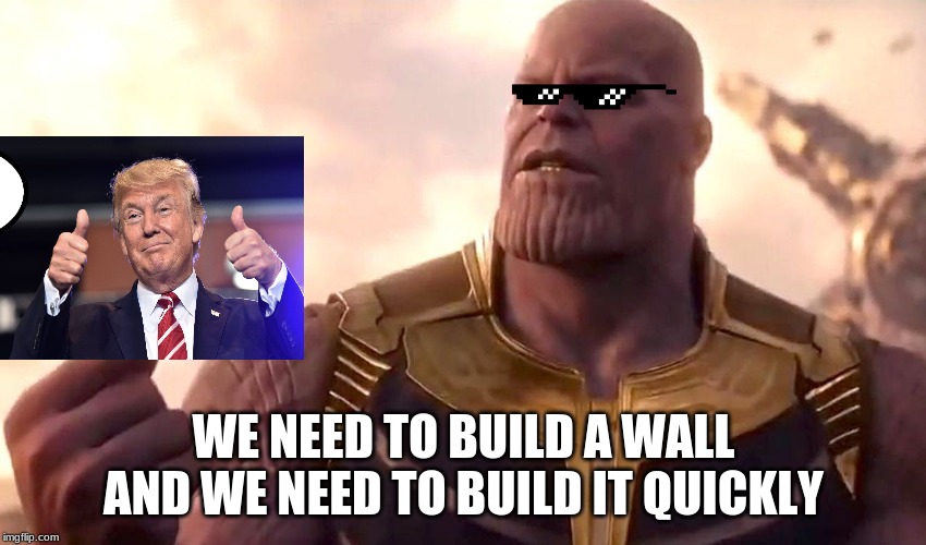 thanos snap | WE NEED TO BUILD A WALL AND WE NEED TO BUILD IT QUICKLY | image tagged in thanos snap | made w/ Imgflip meme maker