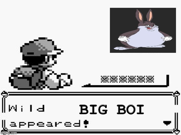 pokemon appears | BIG BOI | image tagged in pokemon appears | made w/ Imgflip meme maker