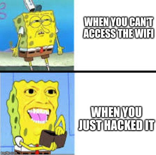 Hack Meme | WHEN YOU CAN'T ACCESS THE WIFI; WHEN YOU JUST HACKED IT | image tagged in spongebob | made w/ Imgflip meme maker