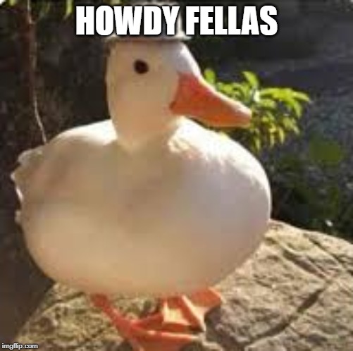 HOWDY FELLAS | image tagged in funny,memes,ducks,duck,goodfellas,howdy | made w/ Imgflip meme maker