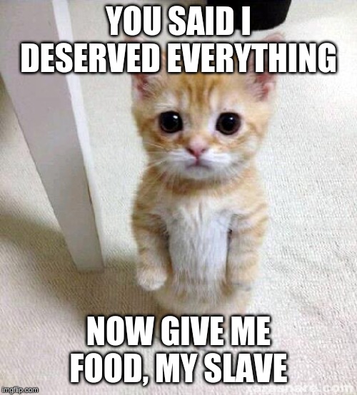 Cute Cat Meme | YOU SAID I DESERVED EVERYTHING; NOW GIVE ME FOOD, MY SLAVE | image tagged in memes,cute cat | made w/ Imgflip meme maker