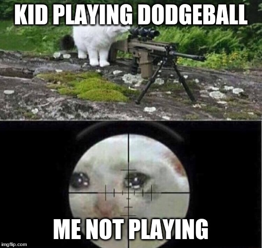 Sniper cat | KID PLAYING DODGEBALL; ME NOT PLAYING | image tagged in sniper cat | made w/ Imgflip meme maker