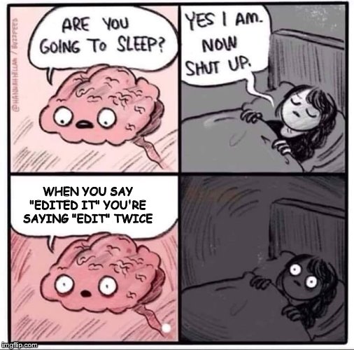 insomnia brain can't sleep blank | WHEN YOU SAY "EDITED IT" YOU'RE SAYING "EDIT" TWICE | image tagged in insomnia brain can't sleep blank | made w/ Imgflip meme maker