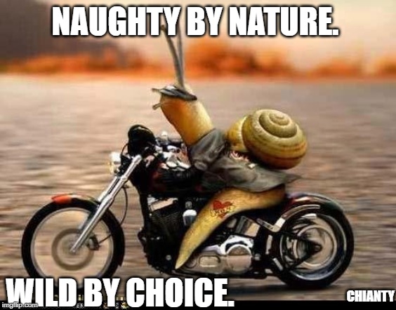 Naughty | NAUGHTY BY NATURE. WILD BY CHOICE. CHIANTY | image tagged in wild | made w/ Imgflip meme maker