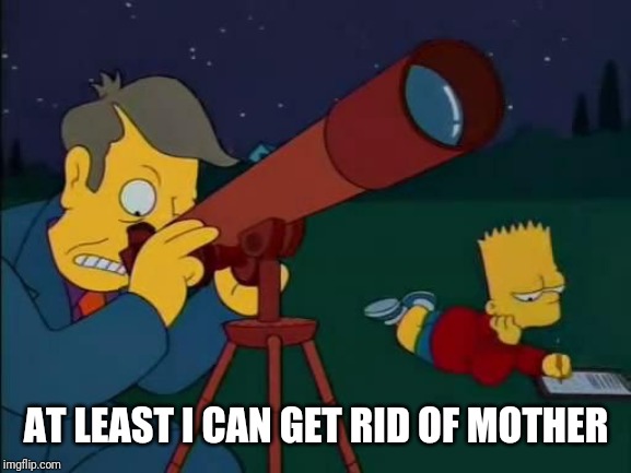 skinner meme | AT LEAST I CAN GET RID OF MOTHER | image tagged in skinner meme | made w/ Imgflip meme maker