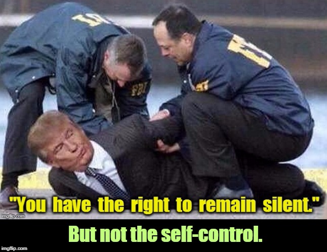 The Moscow Ritz-Carlton called. They want their sheets back. | But not the self-control. | image tagged in trump,russia,putin,fbi,traitor,useful idiot | made w/ Imgflip meme maker