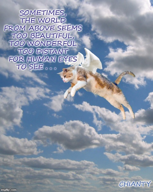 The World | SOMETIMES, THE WORLD FROM ABOVE SEEMS TOO BEAUTIFUL, TOO WONDERFUL TOO DISTANT FOR HUMAN EYES TO SEE . . . CHIANTY | image tagged in beautiful nature | made w/ Imgflip meme maker