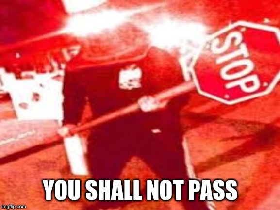 YOU SHALL NOT PASS | image tagged in you shall not pass | made w/ Imgflip meme maker