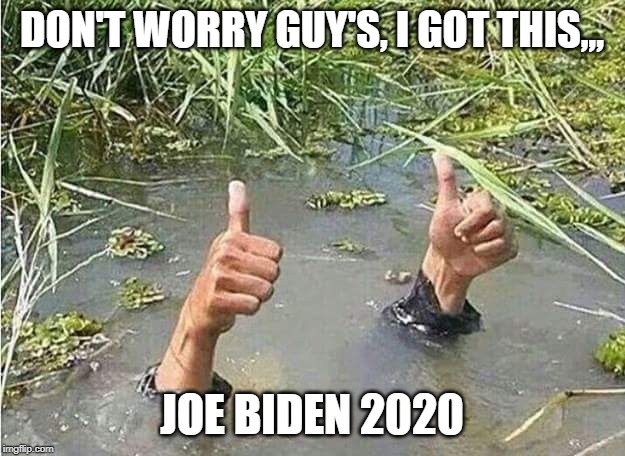 Joe Biden In 2020 | DON'T WORRY GUY'S, I GOT THIS,,, JOE BIDEN 2020 | image tagged in joe biden 2020 | made w/ Imgflip meme maker