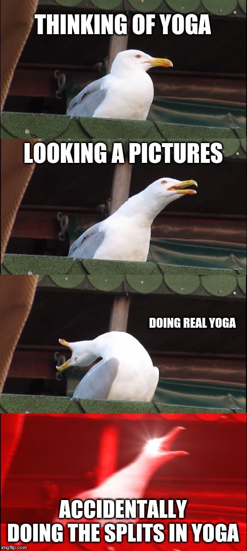 Inhaling Seagull Meme | THINKING OF YOGA; LOOKING A PICTURES; DOING REAL YOGA; ACCIDENTALLY DOING THE SPLITS IN YOGA | image tagged in memes,inhaling seagull | made w/ Imgflip meme maker