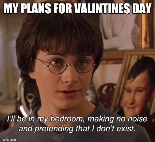 Harry Potter | MY PLANS FOR VALINTINES DAY | image tagged in harry potter | made w/ Imgflip meme maker