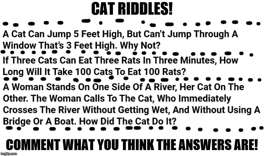 Cat Riddles | CAT RIDDLES! COMMENT WHAT YOU THINK THE ANSWERS ARE! | image tagged in riddles and brainteasers,cats,fun,comments,questions,answers | made w/ Imgflip meme maker
