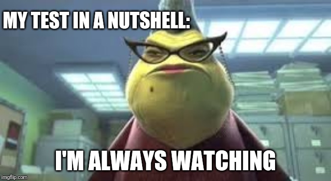 Sadly Yes, My Test Is Tommorow | MY TEST IN A NUTSHELL:; I'M ALWAYS WATCHING | image tagged in monsters inc roz | made w/ Imgflip meme maker