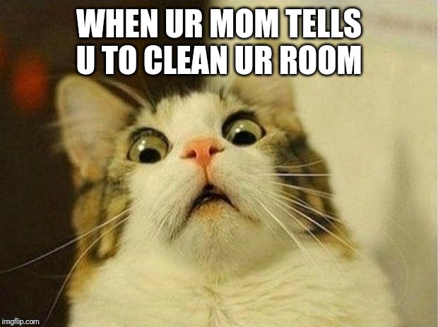 Scared Cat | WHEN UR MOM TELLS U TO CLEAN UR ROOM | image tagged in memes,scared cat | made w/ Imgflip meme maker