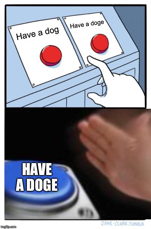 Two Buttons | Have a doge; Have a dog; HAVE A DOGE | image tagged in memes,two buttons | made w/ Imgflip meme maker