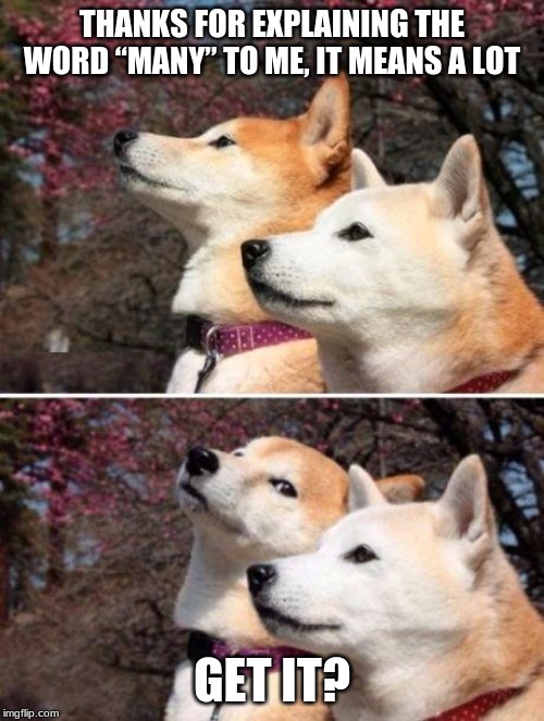 Shiba bad joke | THANKS FOR EXPLAINING THE WORD “MANY” TO ME, IT MEANS A LOT; GET IT? | image tagged in shiba bad joke | made w/ Imgflip meme maker