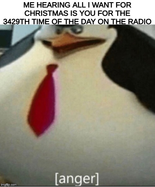 [anger] | ME HEARING ALL I WANT FOR CHRISTMAS IS YOU FOR THE 3429TH TIME OF THE DAY ON THE RADIO | image tagged in anger,memes,kowalski,annoying,bad music | made w/ Imgflip meme maker