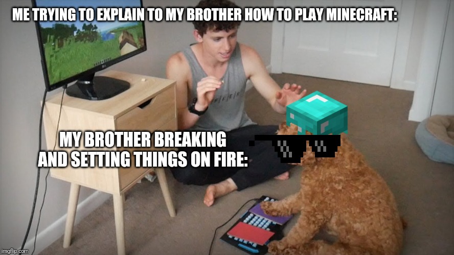 Dog meme | ME TRYING TO EXPLAIN TO MY BROTHER HOW TO PLAY MINECRAFT:; MY BROTHER BREAKING AND SETTING THINGS ON FIRE: | image tagged in dog meme | made w/ Imgflip meme maker
