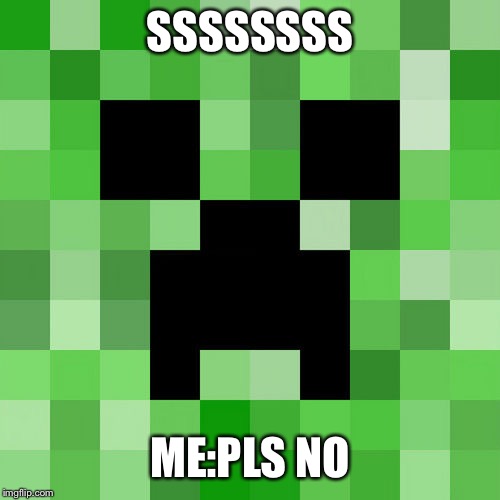 Scumbag Minecraft | SSSSSSSS; ME:PLS NO | image tagged in memes,scumbag minecraft | made w/ Imgflip meme maker