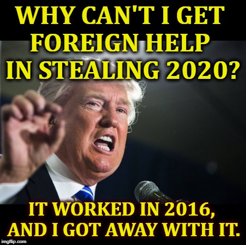 Spoiled, preppy a-hole brat | WHY CAN'T I GET 
FOREIGN HELP 
IN STEALING 2020? IT WORKED IN 2016, 
AND I GOT AWAY WITH IT. | image tagged in donald trump,cheat,steal,election 2016,election 2020 | made w/ Imgflip meme maker