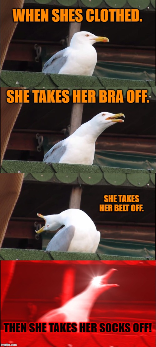 Inhaling Seagull Meme | WHEN SHES CLOTHED. SHE TAKES HER BRA OFF. SHE TAKES HER BELT OFF. THEN SHE TAKES HER SOCKS OFF! | image tagged in memes,inhaling seagull | made w/ Imgflip meme maker