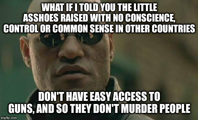 Matrix Morpheus Meme | WHAT IF I TOLD YOU THE LITTLE ASSHOES RAISED WITH NO CONSCIENCE, CONTROL OR COMMON SENSE IN OTHER COUNTRIES DON'T HAVE EASY ACCESS TO GUNS,  | image tagged in memes,matrix morpheus | made w/ Imgflip meme maker