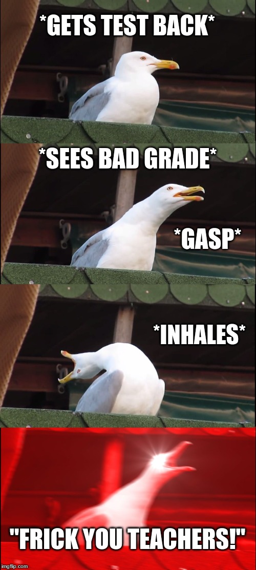 Inhaling Seagull | *GETS TEST BACK*; *SEES BAD GRADE*; *GASP*; *INHALES*; "FRICK YOU TEACHERS!" | image tagged in memes,inhaling seagull | made w/ Imgflip meme maker